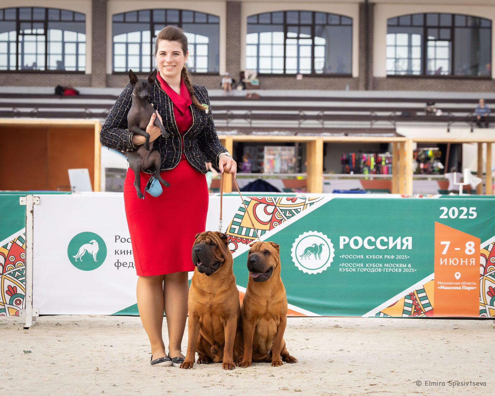 Выставка Россия 2025