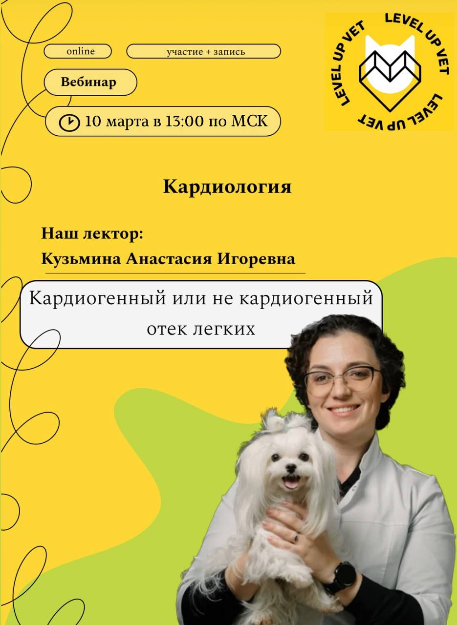 Вебинар кардиогенный отек или не кардиогенный отек легких