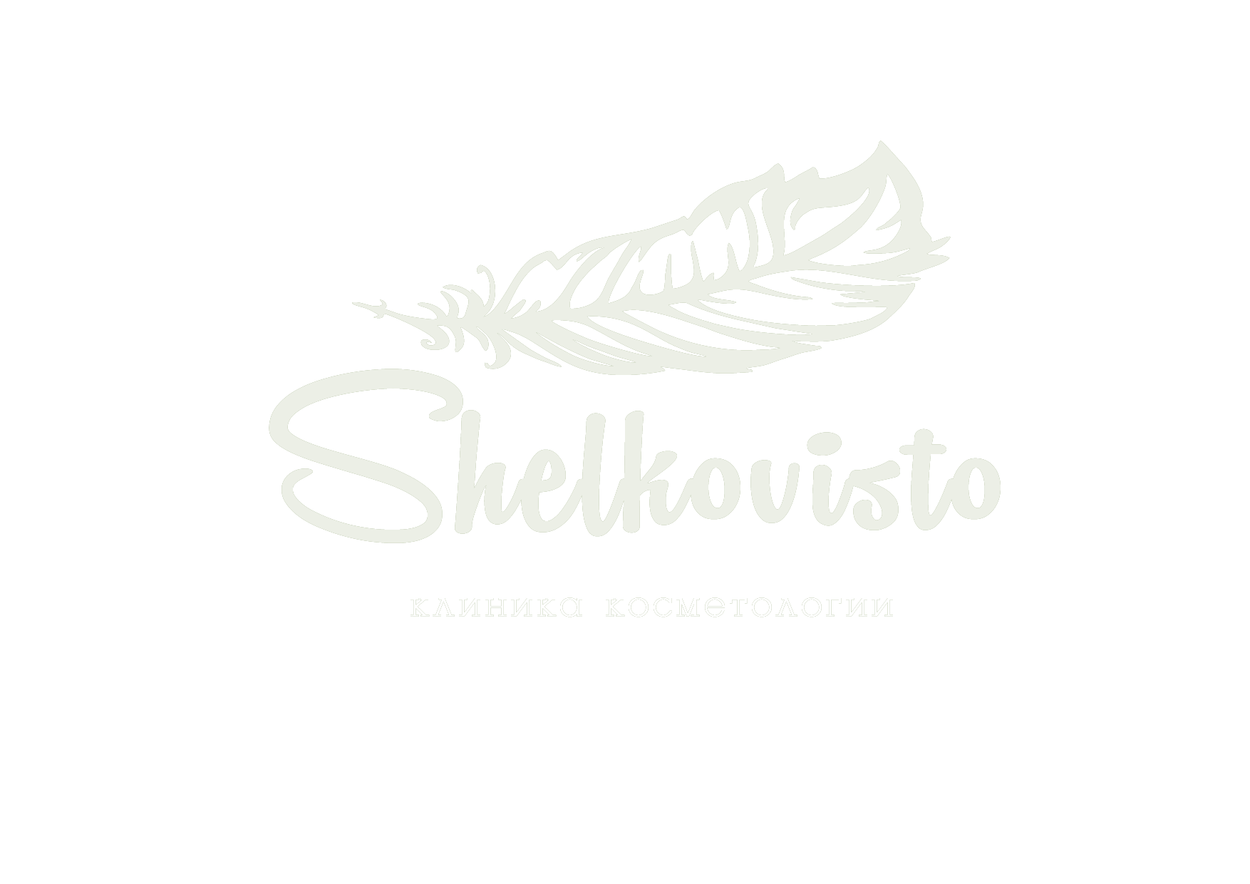 Shelkovisto