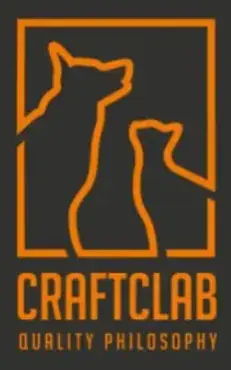 Логотип Craftlab