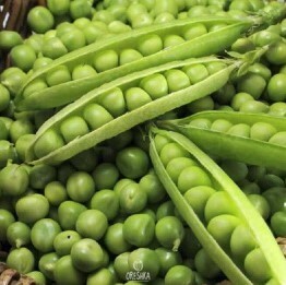 Seeds of Vegetable peas Altai Emerald (Pisum sativum) — 25 pcs