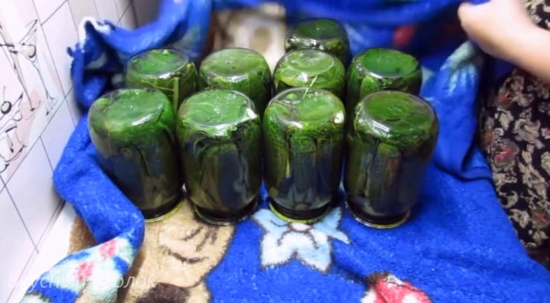 Приготовление маринованных огурцов на зиму с уксусом: шаг 17