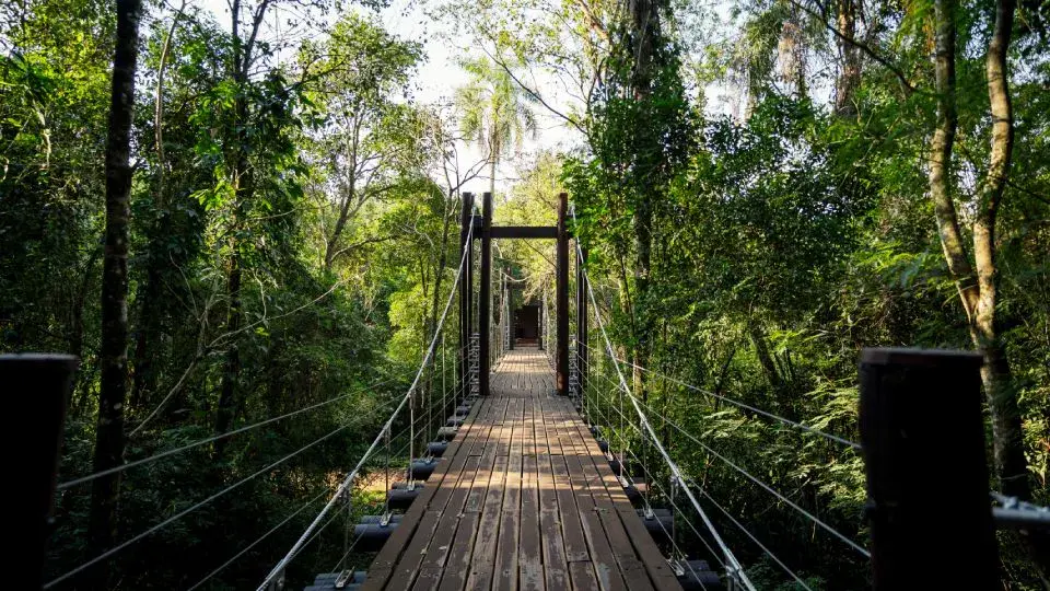 Подвесной деревянный мостик через сельву Ирьяпу, Loi Suites Iguazú