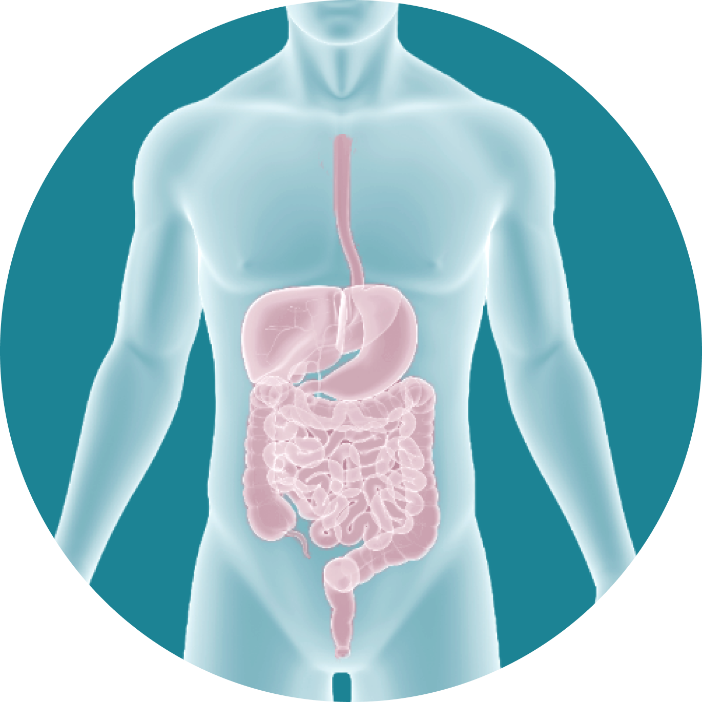 Кишечник на отлично!