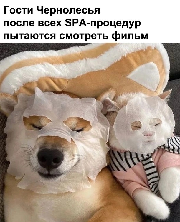 мем
