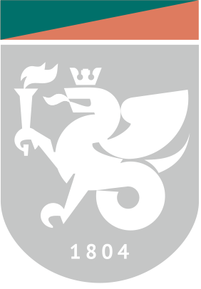 website icon