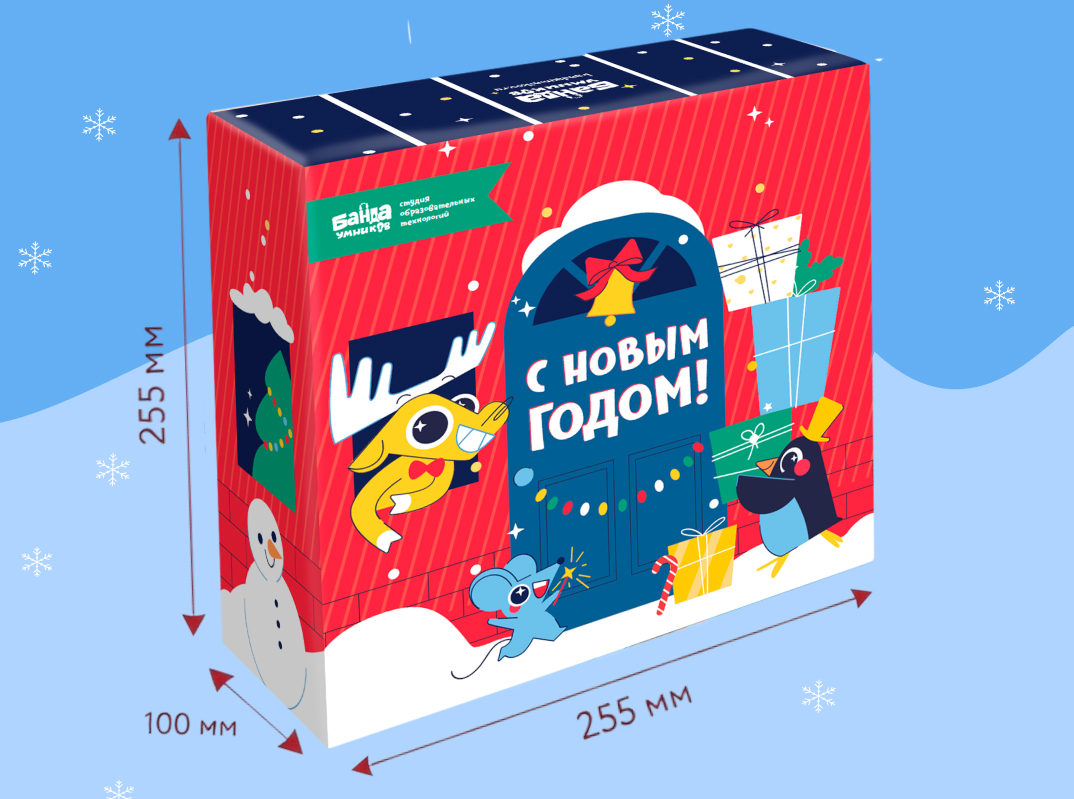 Упаковка 255×255×100 мм