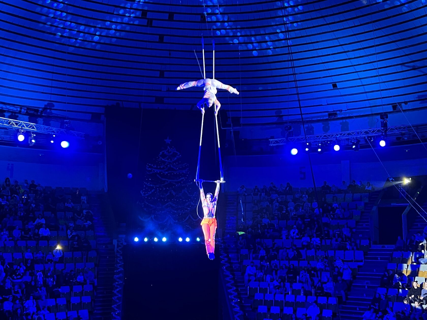 новогодняя феерия краснодар. афиша цирка. гастроли цирка. новогодняя феерия краснодар. новогодняя феерия краснодар.