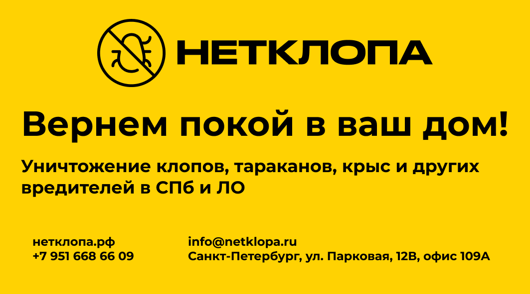 Травля тараканов спб. Уничтожение тараканов. Уничтожение клопов. Уничтожение тараканов. Тараканы клопы дезинсекция.