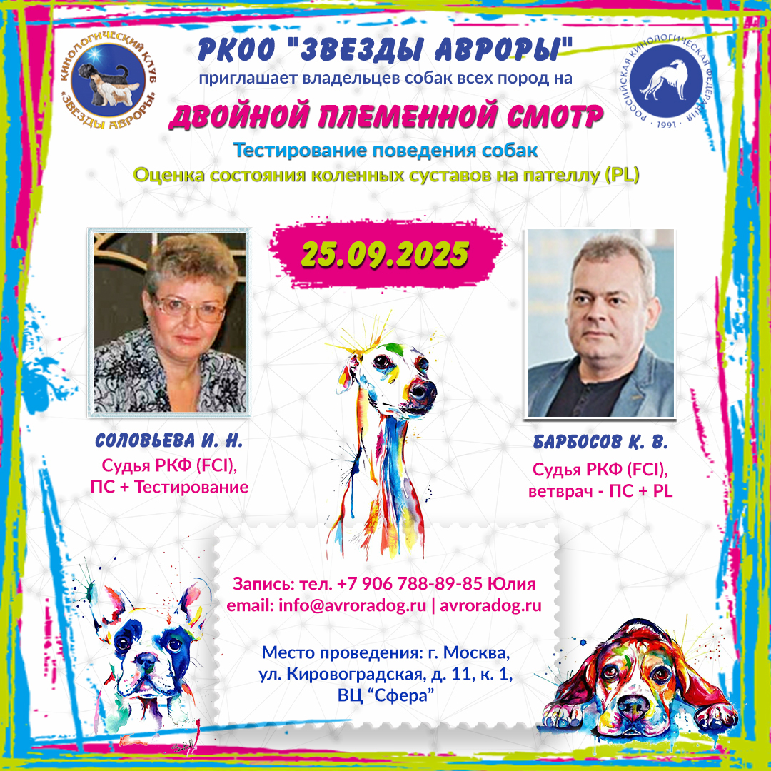 племсмотр тестирование пателла