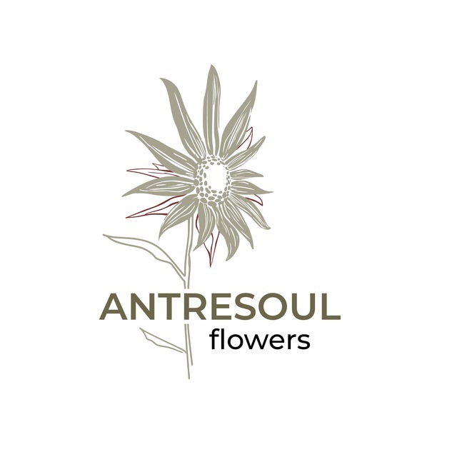 ANTRESOUL