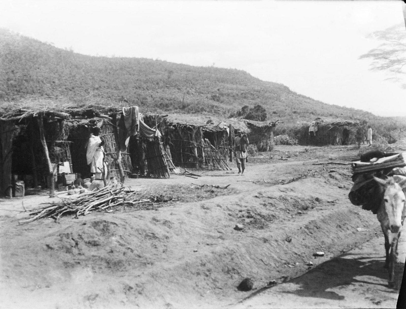 Последняя экспедиция скотта книга. Последняя экспедиция скотта книга. Экспедиция амундсена 1910-1912. Экспедиция скотта к южному полюсу. Экспедиция амундсена 1910-1912.