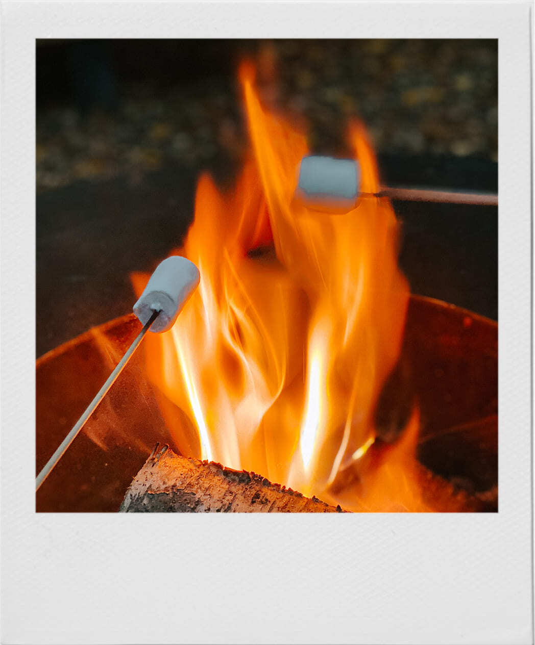 Русская баня на дровах в глэмпинге Под кронами с парилкой