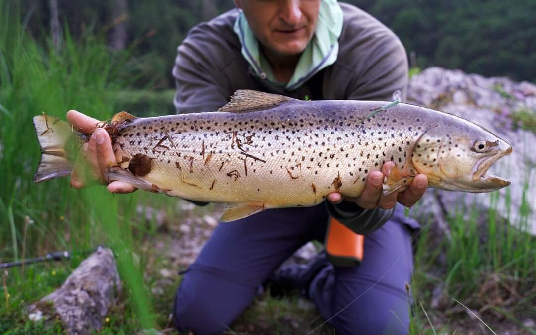 Ловля ручьевой, озёрной и радужной форели в окружении завораживающих пейзажей