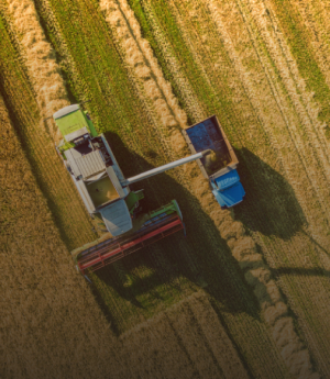 Сельское хозяйство с дрона