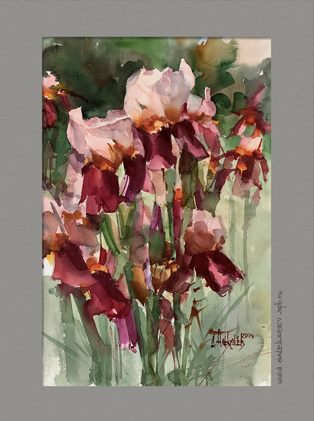Crimean Irises