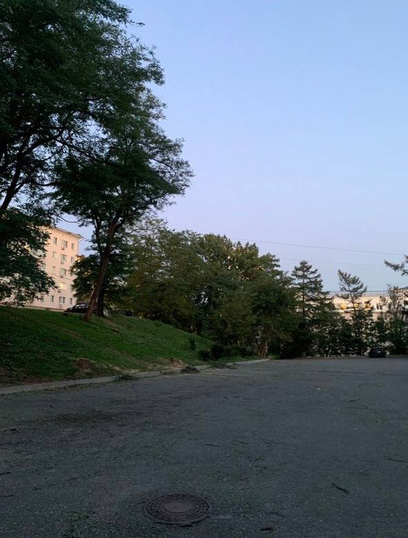 Участок после удаления дерева по частям