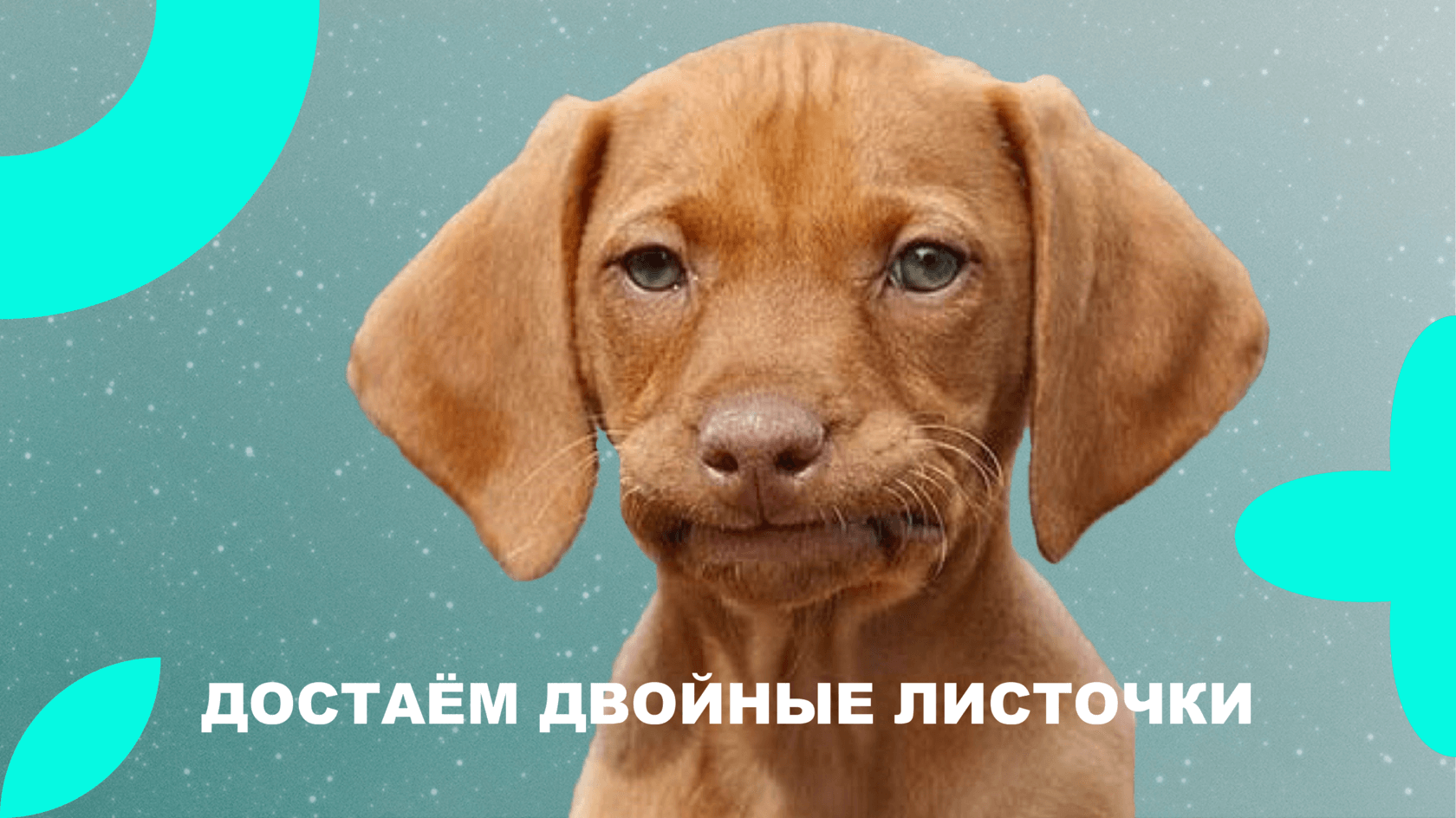 Образовательный контент что это. Смотреть фото Образовательный контент что это. Смотреть картинку Образовательный контент что это. Картинка про Образовательный контент что это. Фото Образовательный контент что это