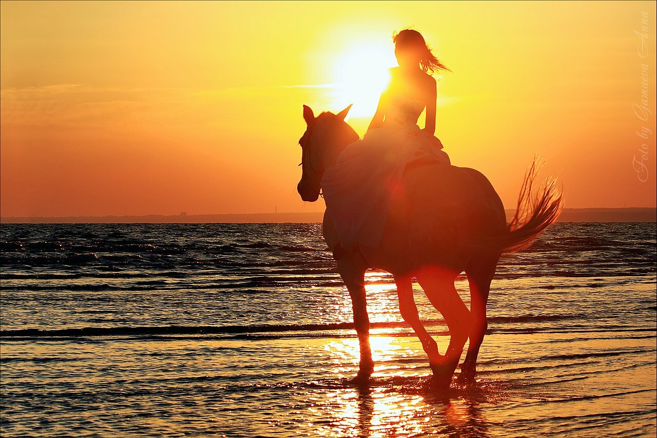 Девушка на лошади у моря на закате