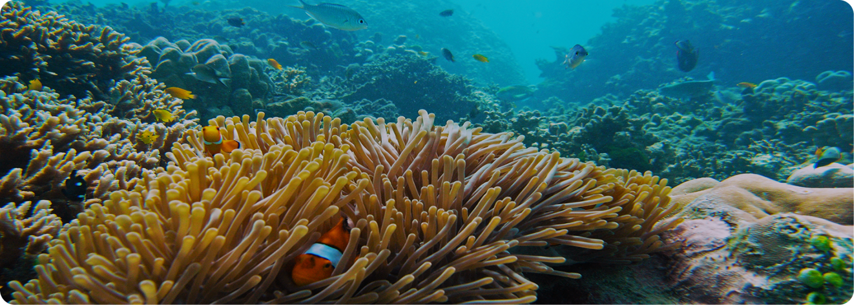 Тур на Симилан