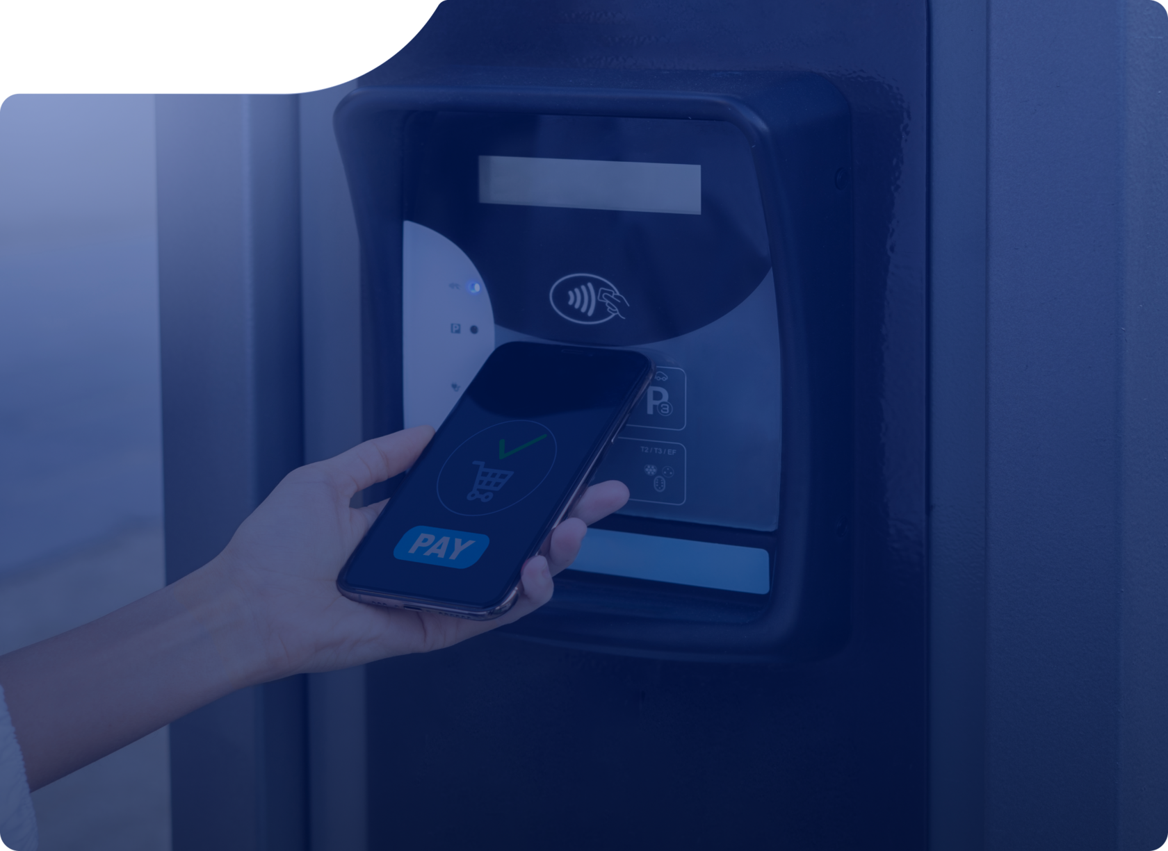 Установка скуд