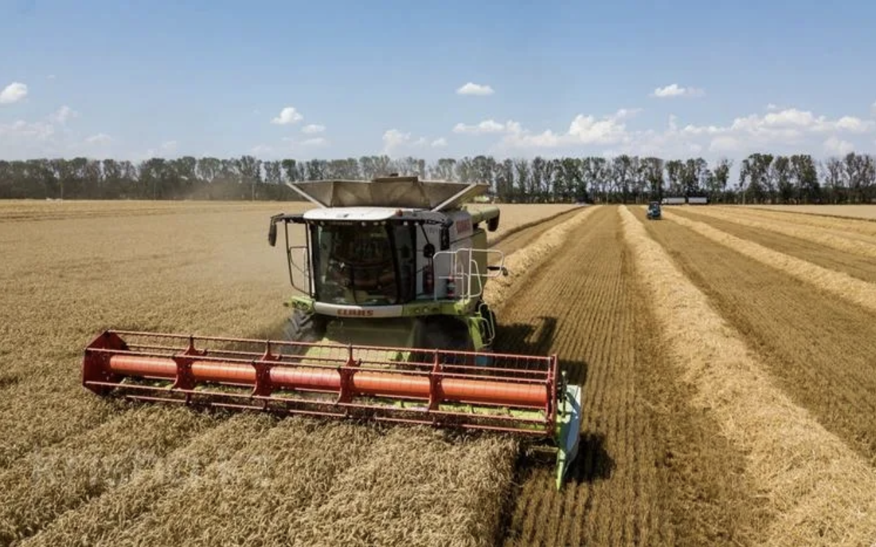 Россия наращивает экспорт пшеницы: август принес 4,4 млн тонн