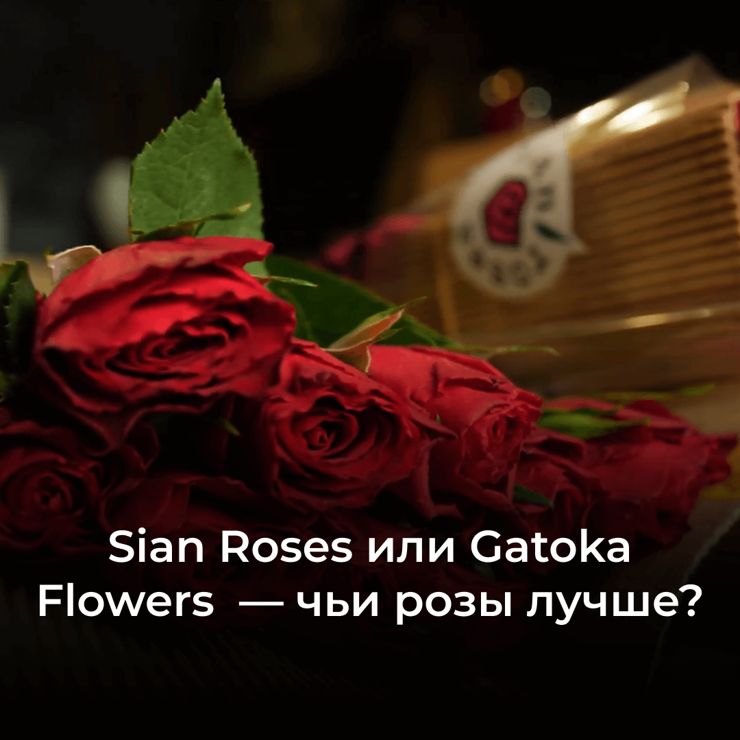Sian Roses &amp;amp; Gatoka Flowers: обзор-сравнение красных роз от кенийских плантаций