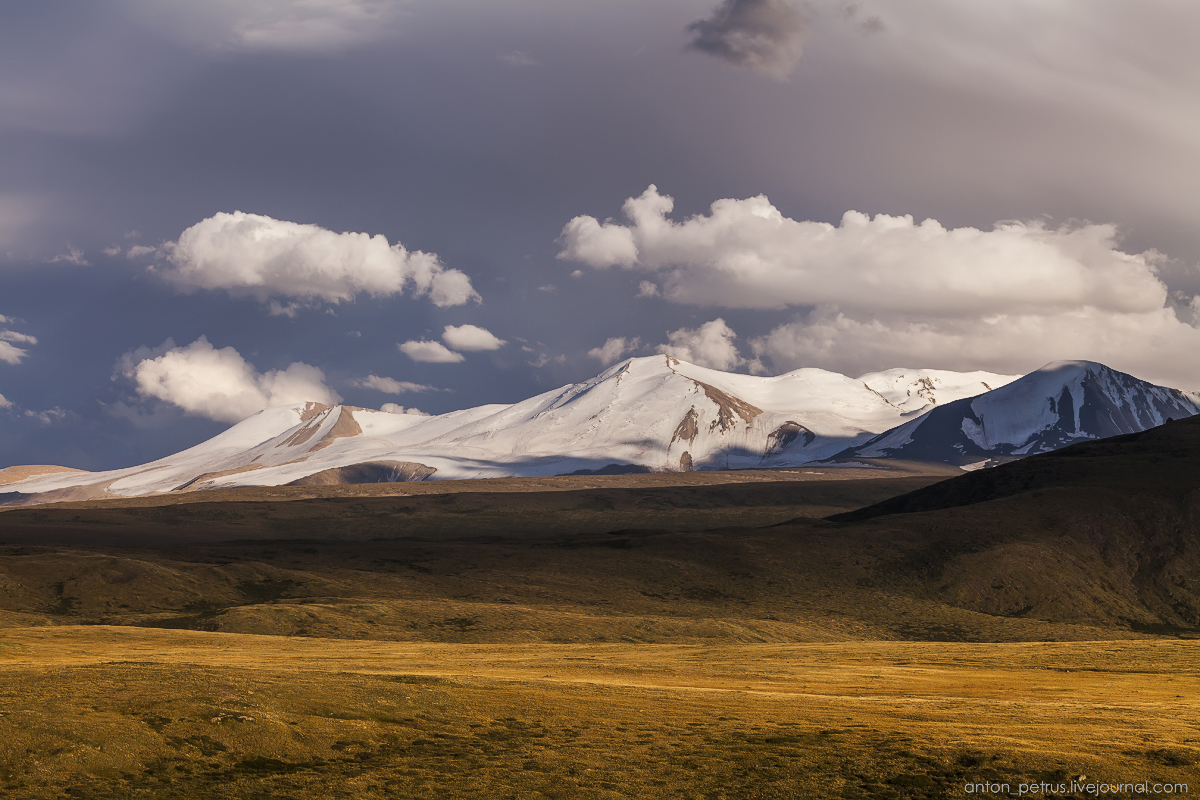 Плато укок горный алтай фото