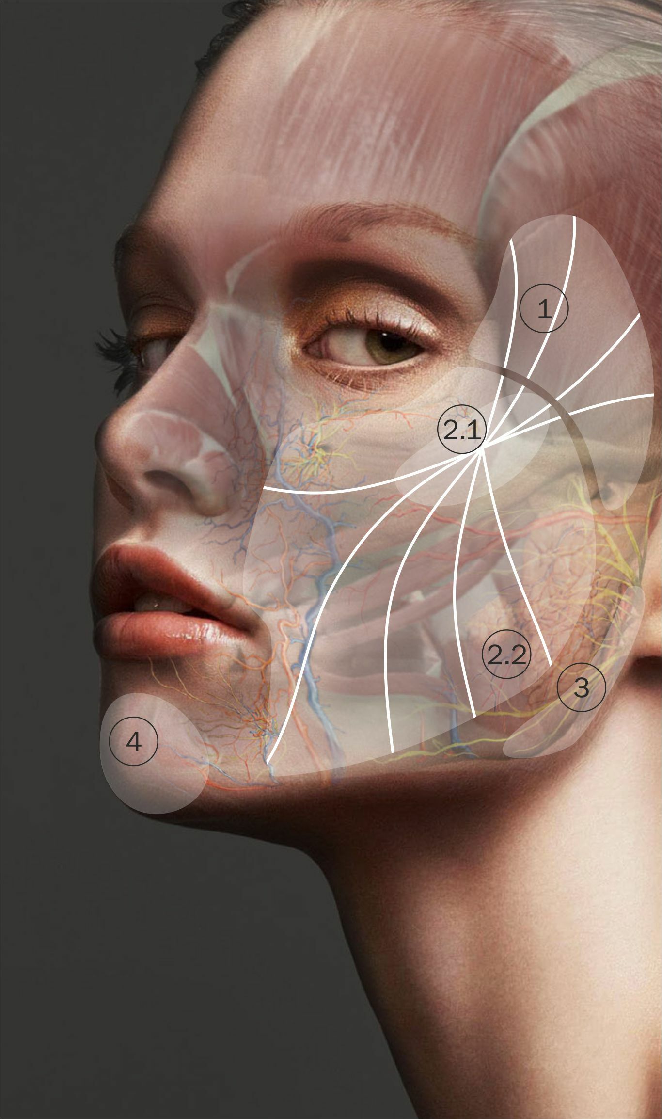 Face Conour опасные зоны