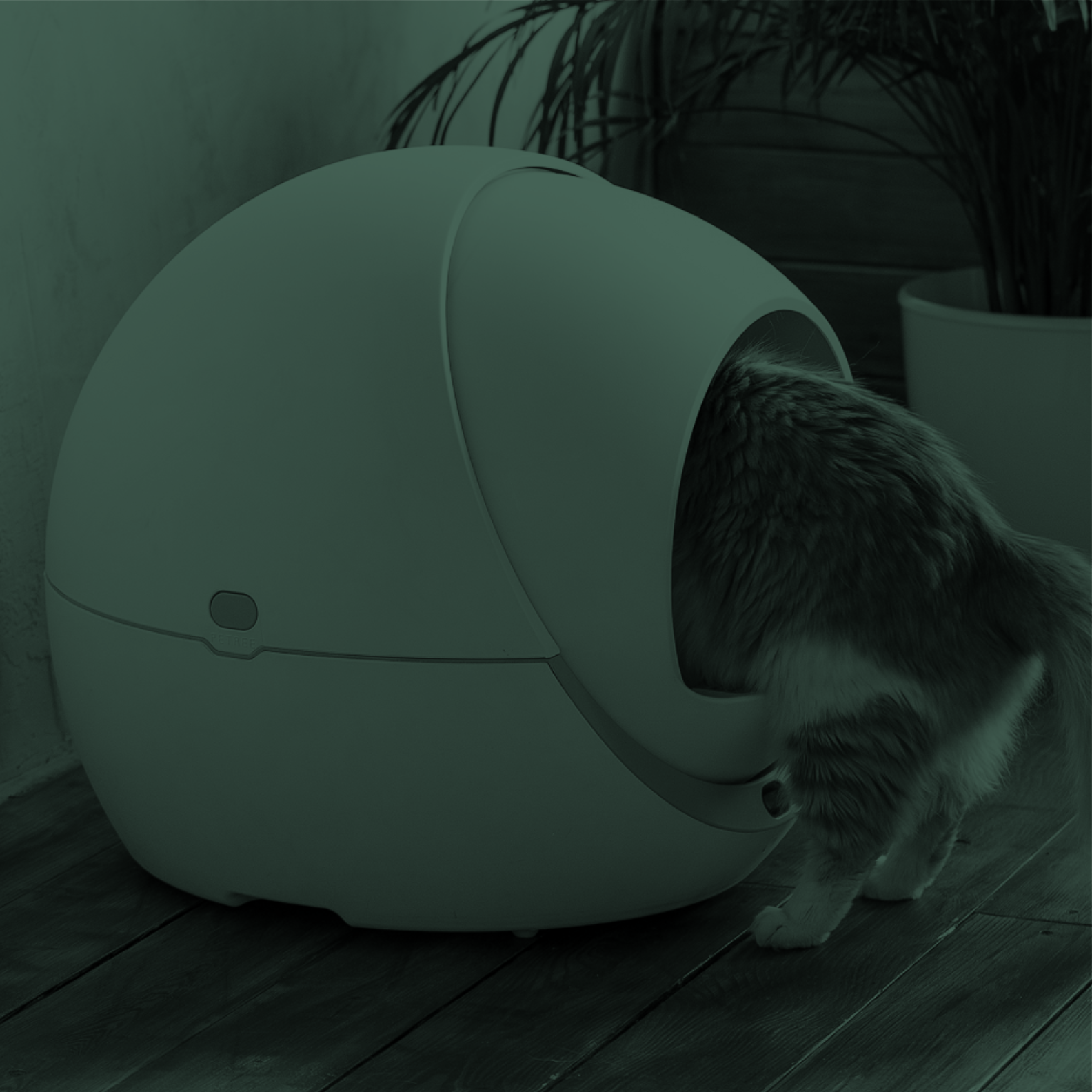 UNIQPET умные гаджеты для животных