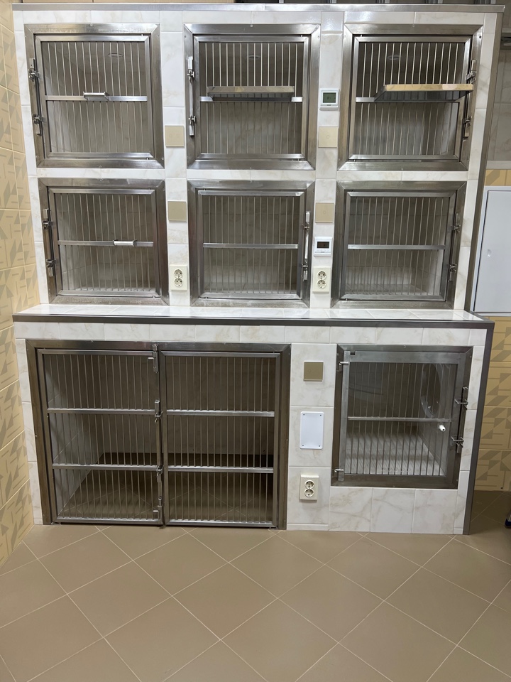 HD форматындағы порно оргия кештері