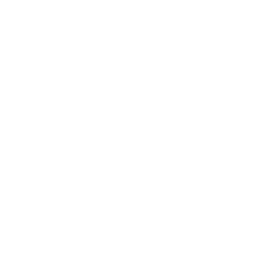  DEALS GLOBAL GROUP