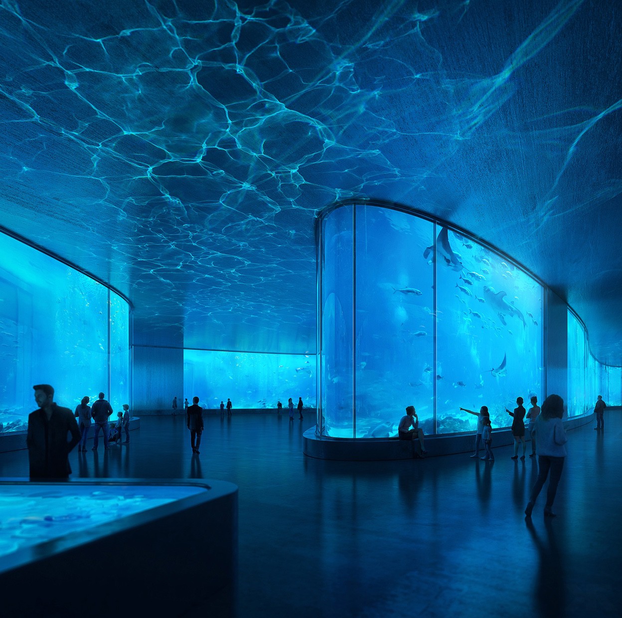 Gork, reflective pool caustics