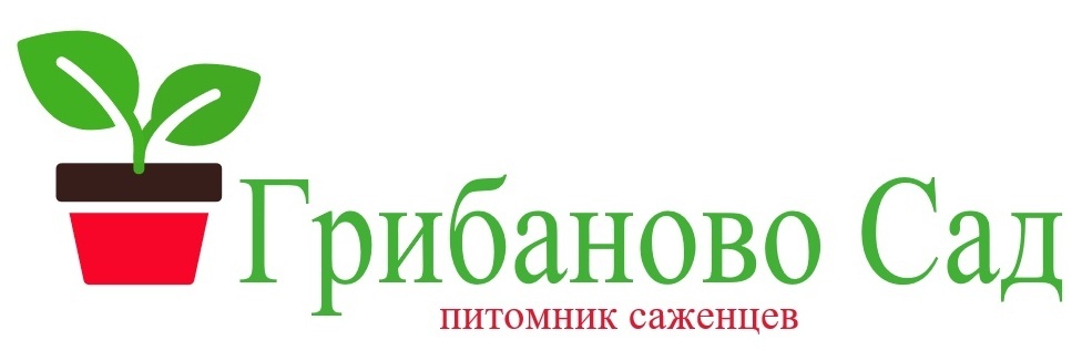 Company name