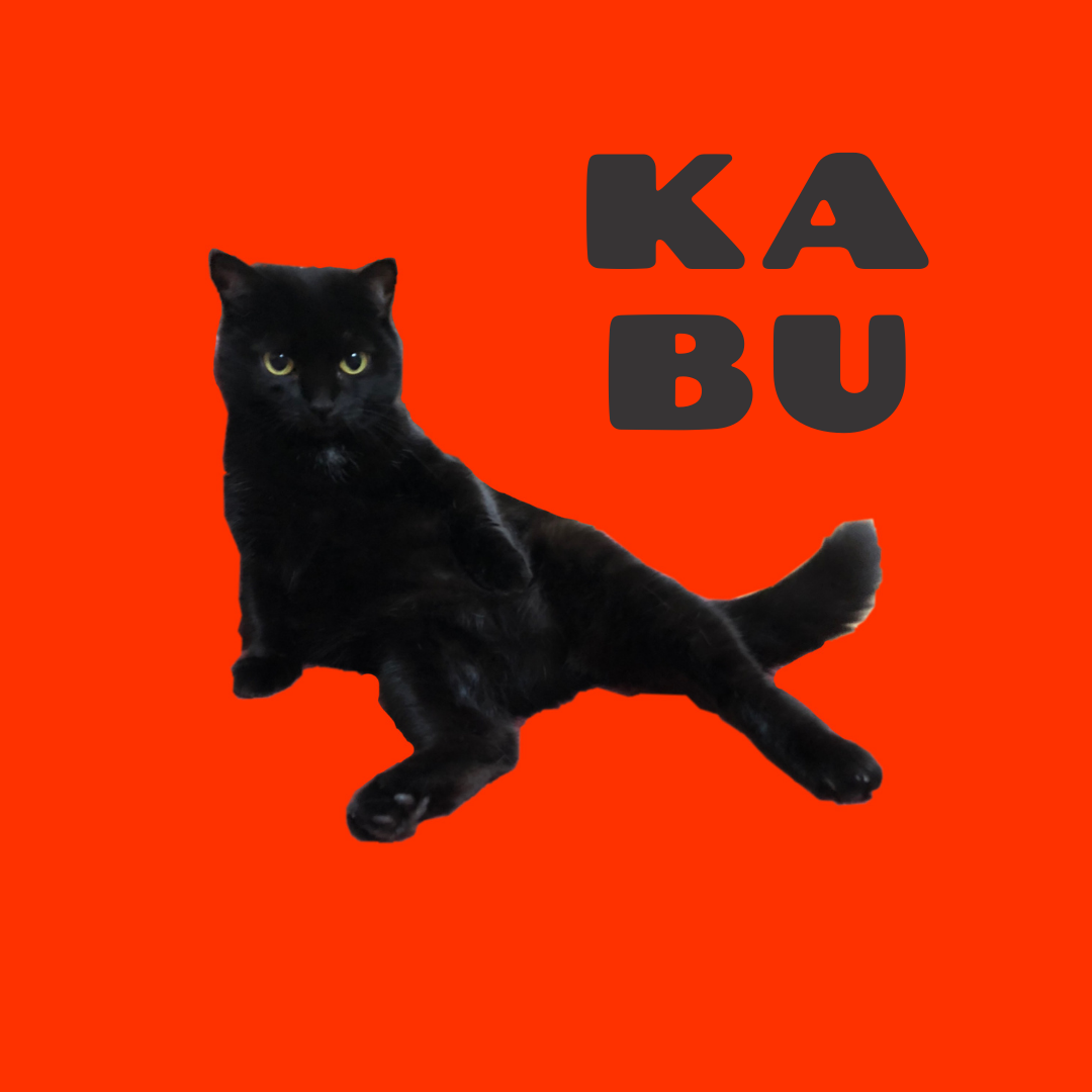  KABU 