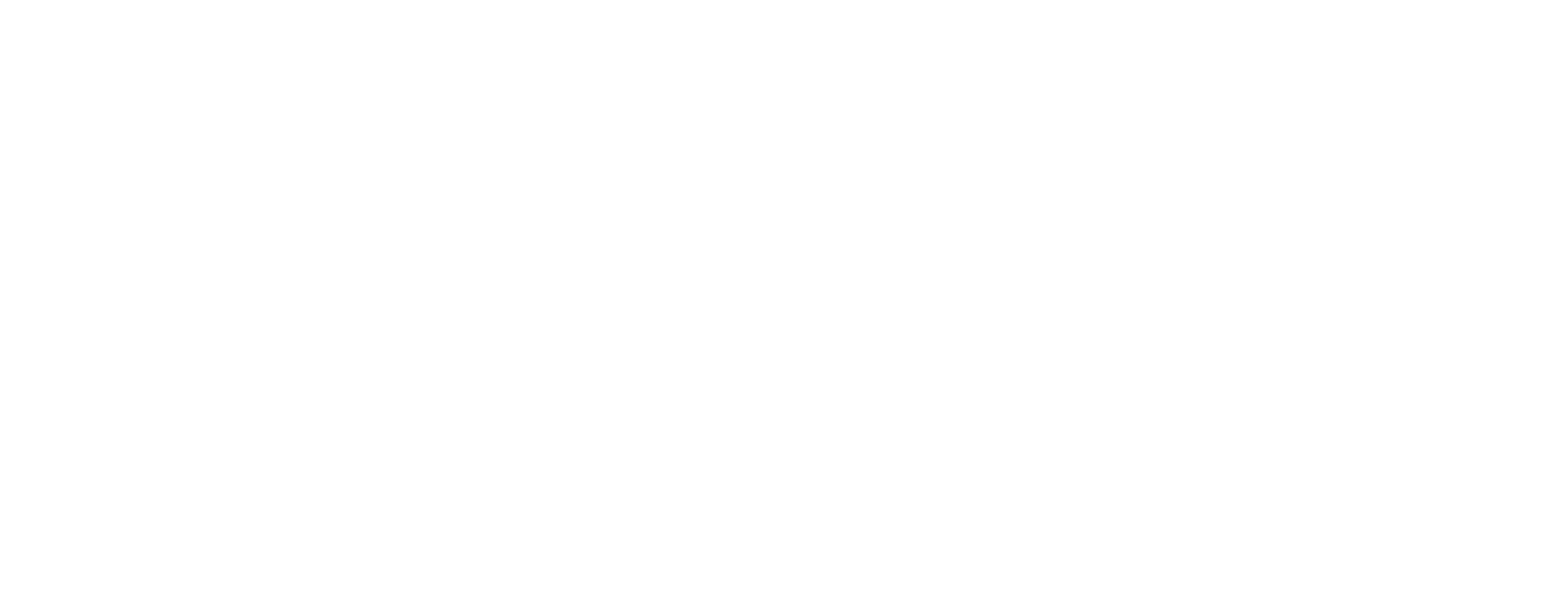 Sneaker Show