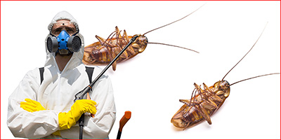 Обработка от тараканов Казань