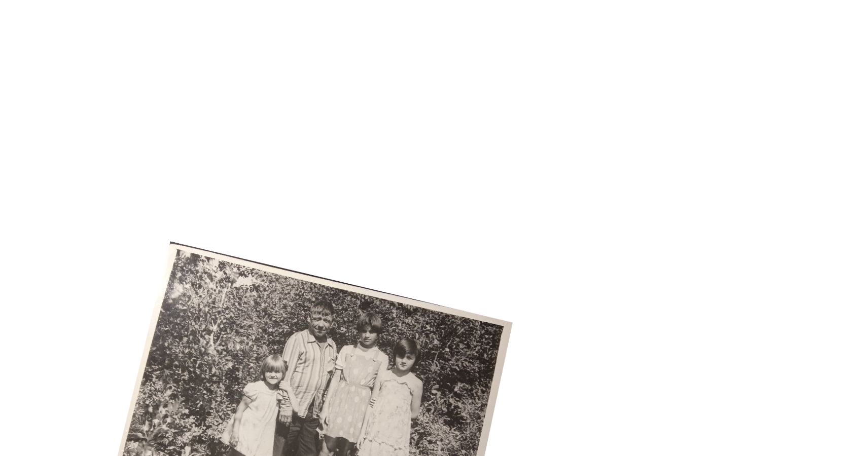 Nasonova.su — генеалогический квест