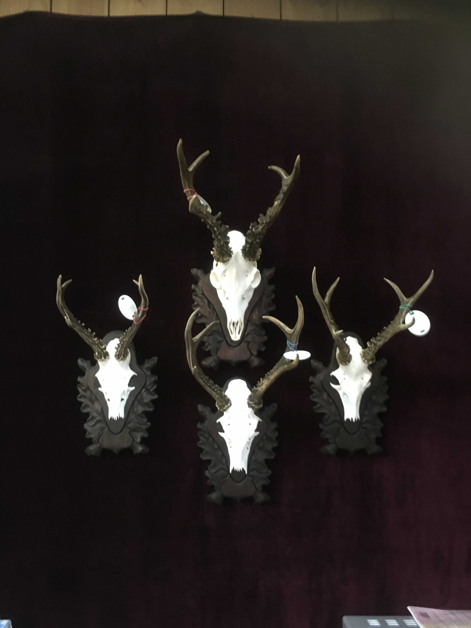 Студия корсаков. Модные штучки уссурийск москва. Студия корсаков. Студия корсаков. Студия корсаков.