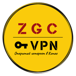  ZGC VPN 