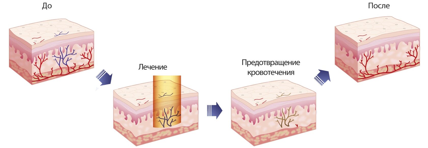 Парфюмерные магазины в Владивостоке | адреса, телефоны, режим работы, визитки страница 2