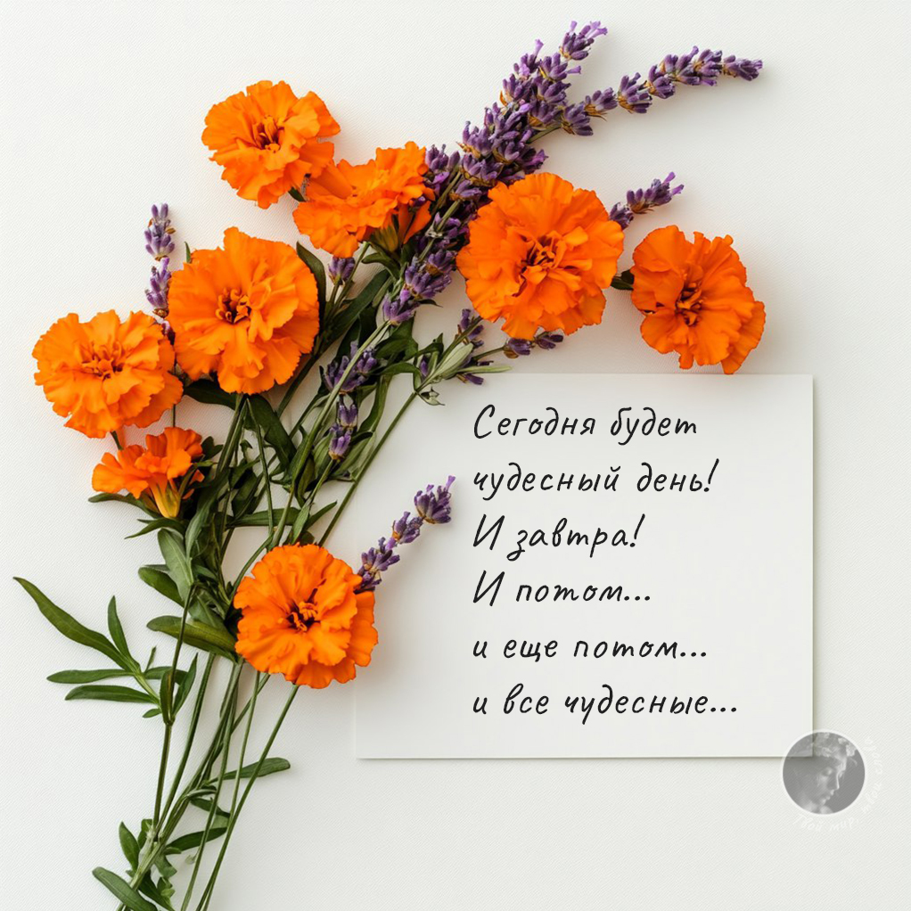 Цитата о чудесных днях 219 из 12345