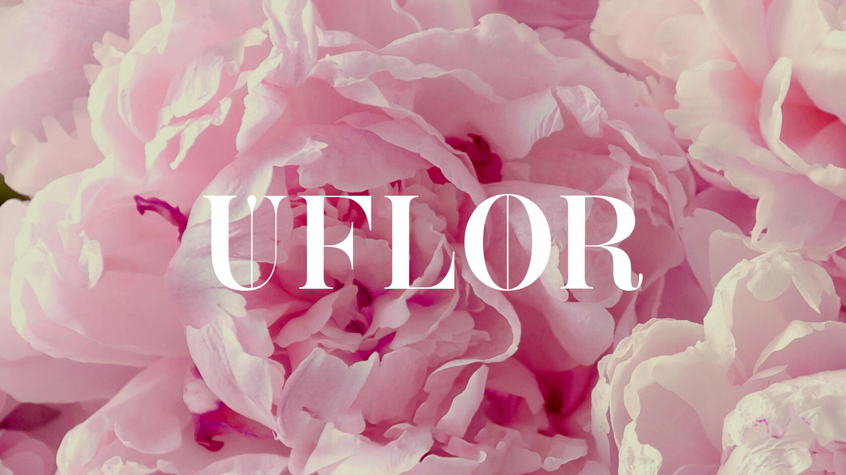 Юфлор. Uflor логотип. Uflor.