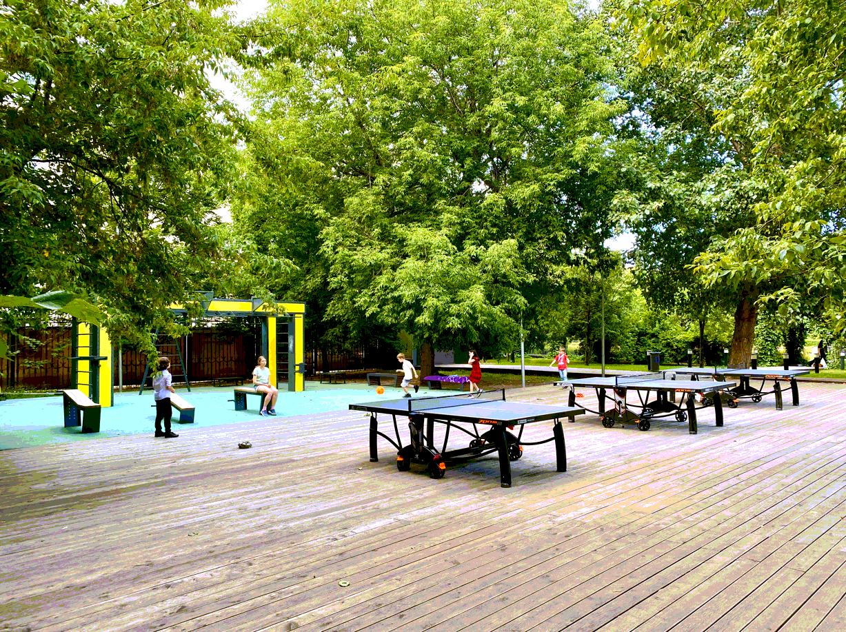 Сад имени Баумана спортивная площадка