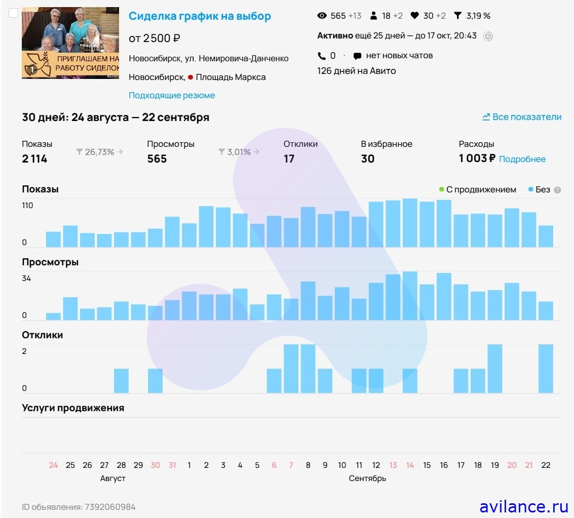 Статистика объявления по найму персонала для пансионата на Авито