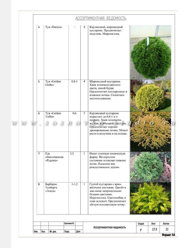 Ассортиментная ведомость растений в ландшафтном дизайне