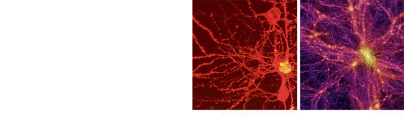 Валерий Уваров Пирамиды наследие богов, Кадуцеи Гора, Кадуцеи Ба-Ка, Жезлы Гора, Цилиндры фараона, Жезлы Египтян, Жезлы Ра