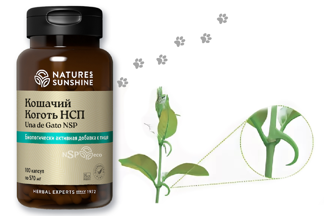 босвелия нсп. биодобавки для мужчин для повышения. биодобавки названия. кошачий коготь экстракт (ункария томентоза). фэт грэбберс нсп.