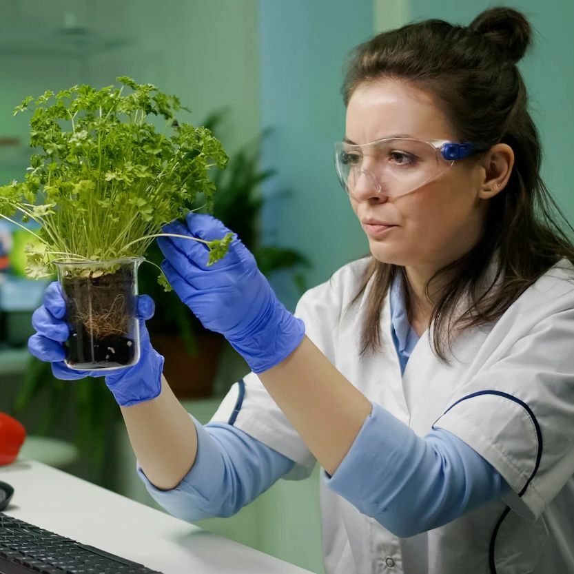 Профиград - Тест \"Профессии в экологии\"