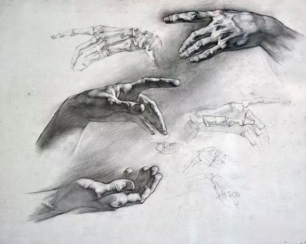 Рисунок рук с натуры — программа III, фигура человека